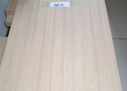 白山金星燈飾裝潢材料